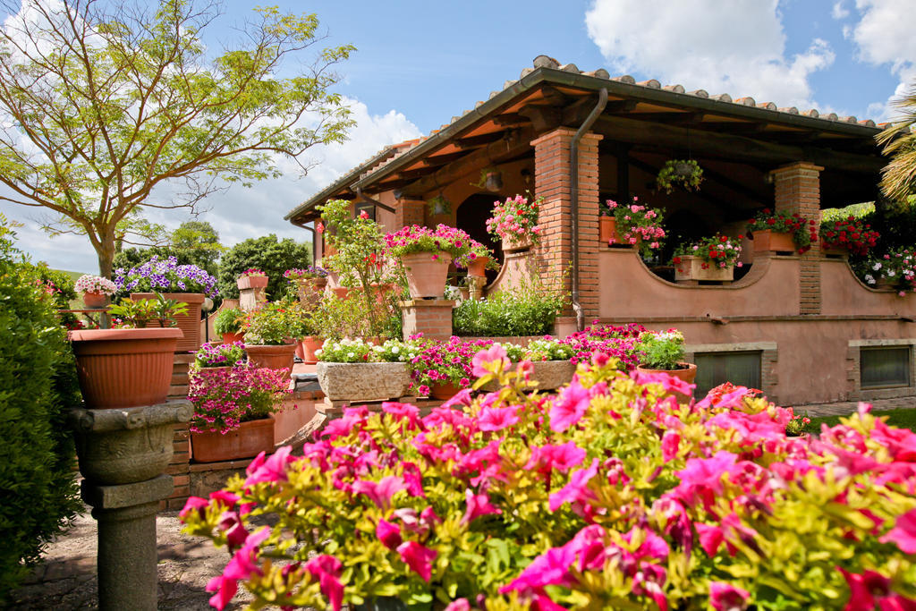 Agriturismo Da Lorena Marsiliana Exterior foto